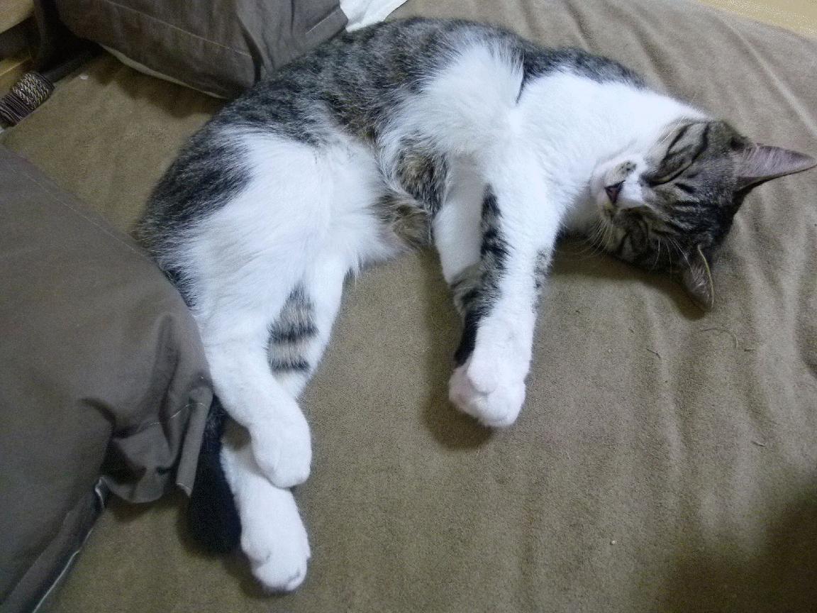 开云体育首页-_全民游泳挑战:畅游未来的水世界_,全民学游泳