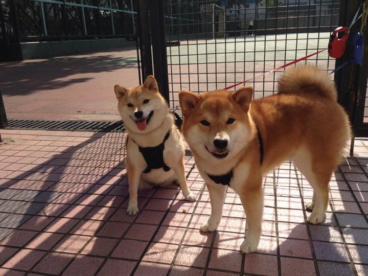 kaiyun-《CS_GO全球精英巡回赛，豪门战火不断》，csgo全球总决赛2021冠军