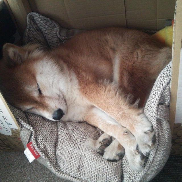 开云体育平台-广场舞促进城乡文化交流,广场舞与社区文化建设调查