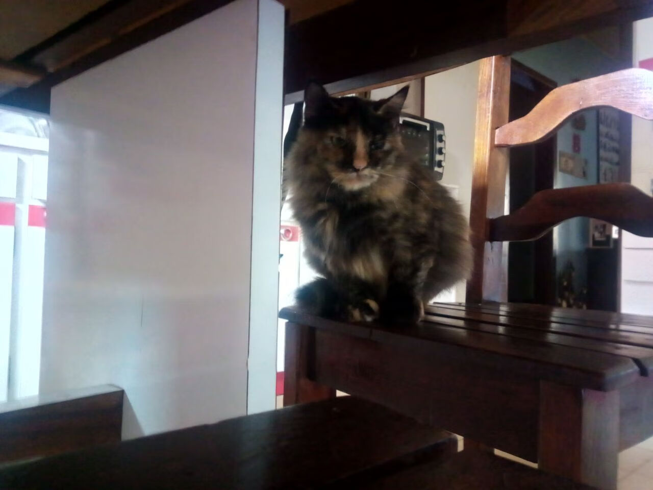 开云娱乐app安全登录-足球赛事数据包首次开放公众申请接口，足球数据api