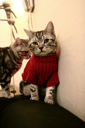 开云投注-利物浦主场大胜尤文图斯，锁定欧冠四强，利物浦对尤文图斯