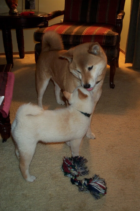 开云体育APP-NBA选秀权交易案例解析，nba交易中选秀权价值