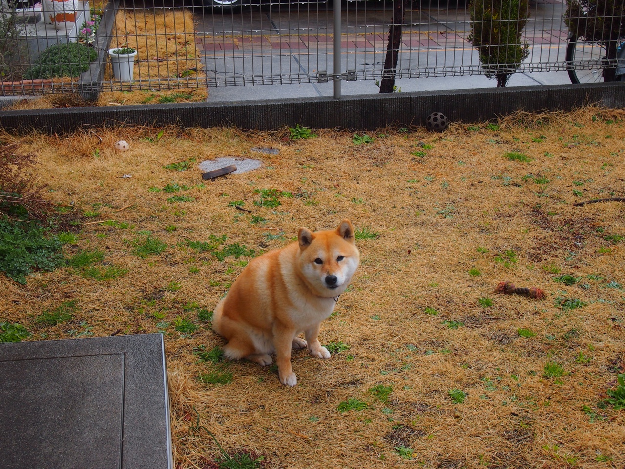 kaiyun app-全国男子体操团体赛广东队再冠,全国男子体操团体赛广东队再冠名单