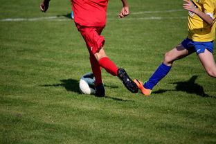 开云体育安全平台-国际极限运动滑板赛中国少年获银牌,滑板竞赛