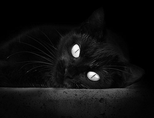 开云网页版-五大联赛关键球员缺阵对战术体系的冲击，五大联赛关键球员缺阵对战术体系的冲击有哪些